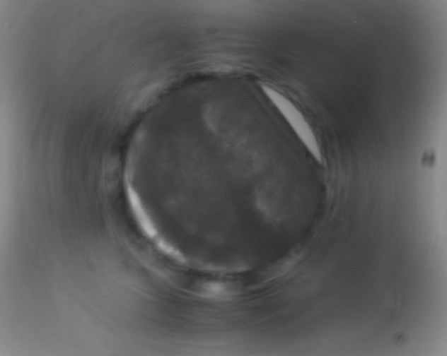 X0000113950563200910161942