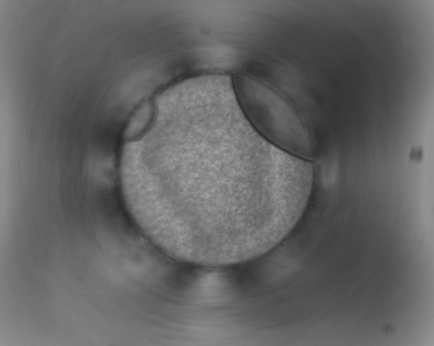 X0000113950564200910161942