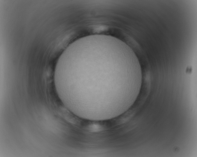X0000113950565200910161942
