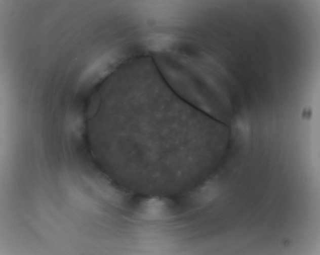 X0000113950566200910161942