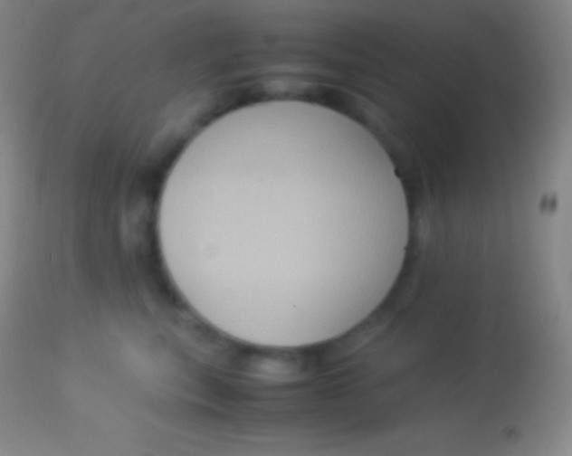 X0000113950567200910161942
