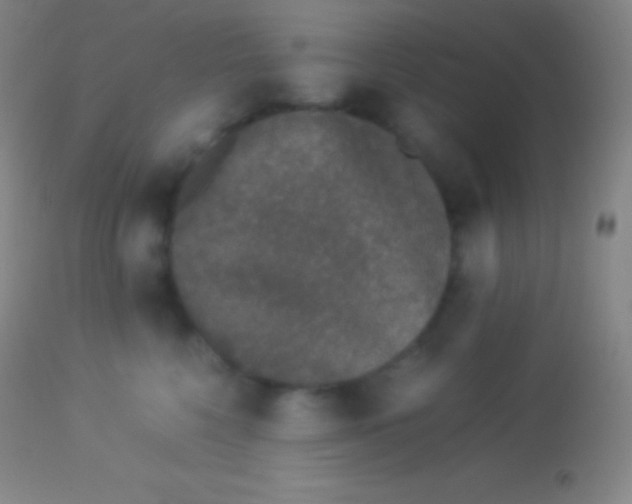 X0000113950568200910161942