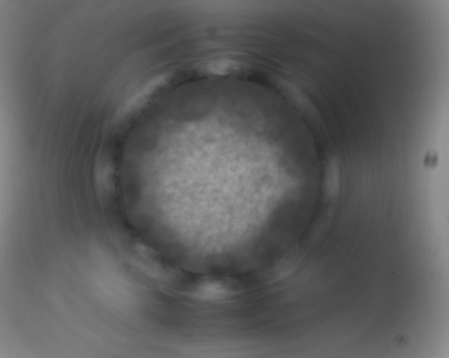 X0000113950569200910161942