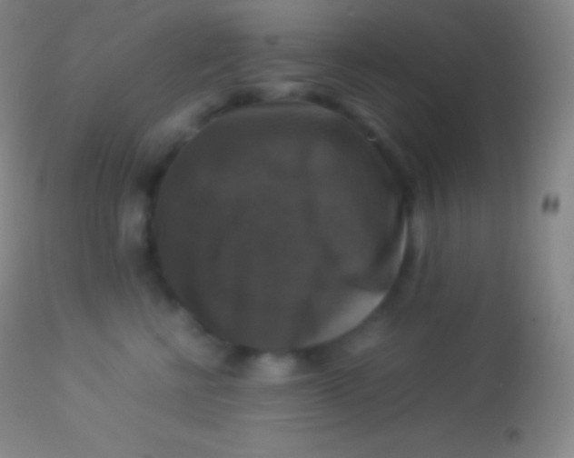 X0000113950570200910161942