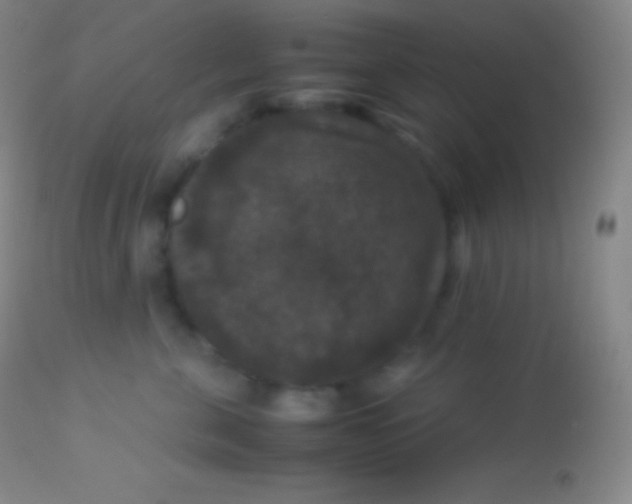 X0000113950571200910161942