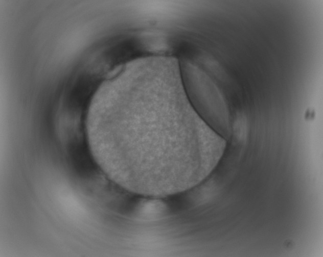 X0000113950572200910161942