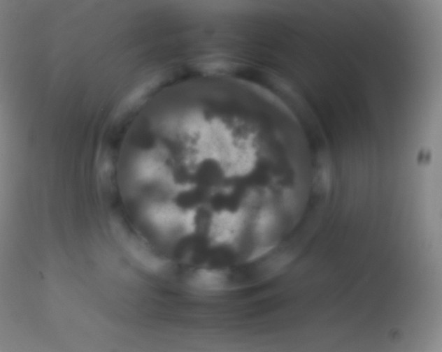 X0000113950573200910161942