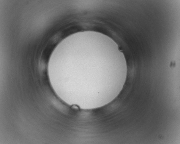 X0000113950574200910161942