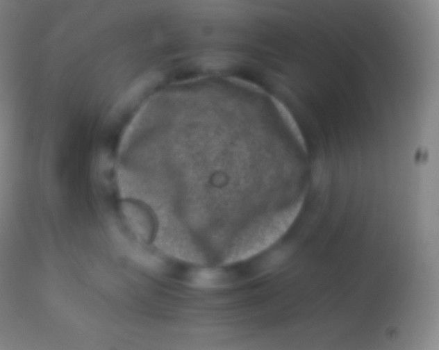 X0000113950575200910161942