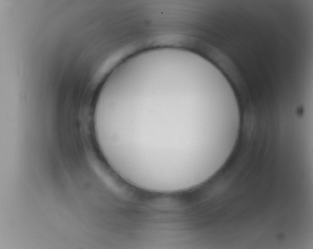 X0000113950578200910161941