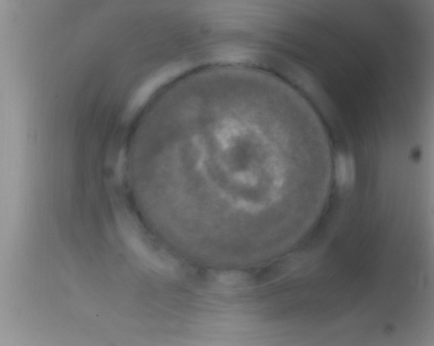 X0000113950579200910161941