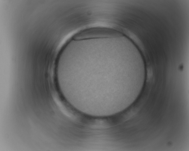 X0000113950580200910161941