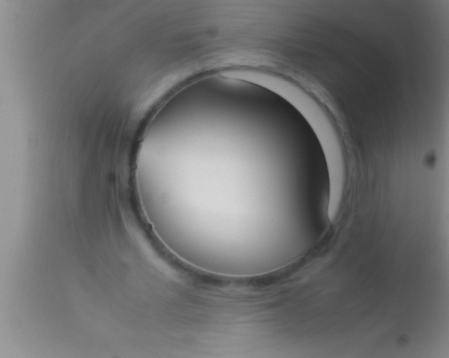 X0000113950581200910161941