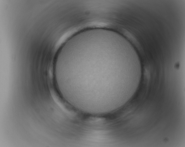 X0000113950582200910161941