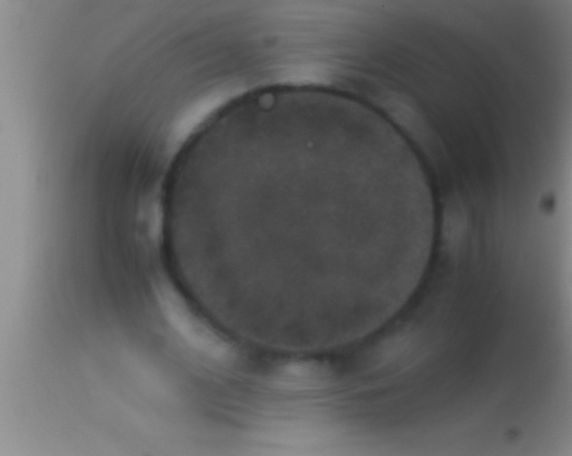 X0000113950584200910161941