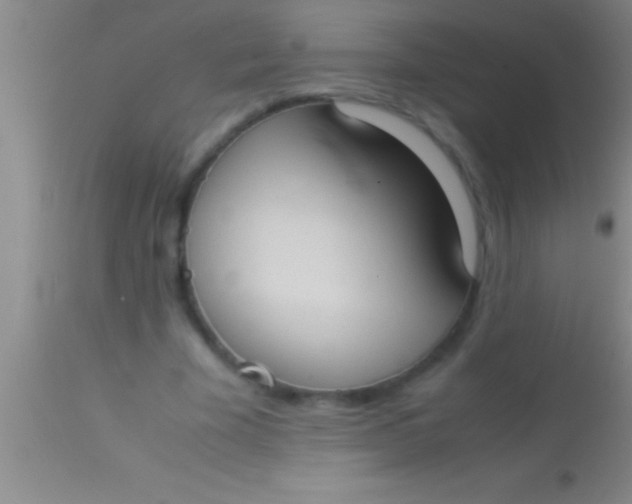 X0000113950585200910161941