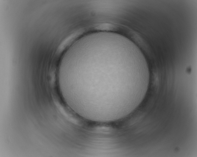 X0000113950586200910161941