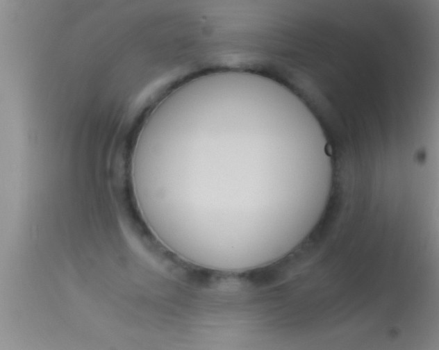 X0000113950587200910161941
