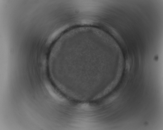 X0000113950588200910161941