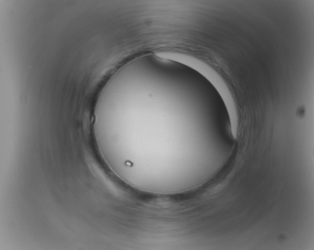 X0000113950589200910161941