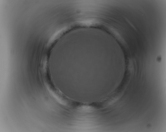 X0000113950590200910161941