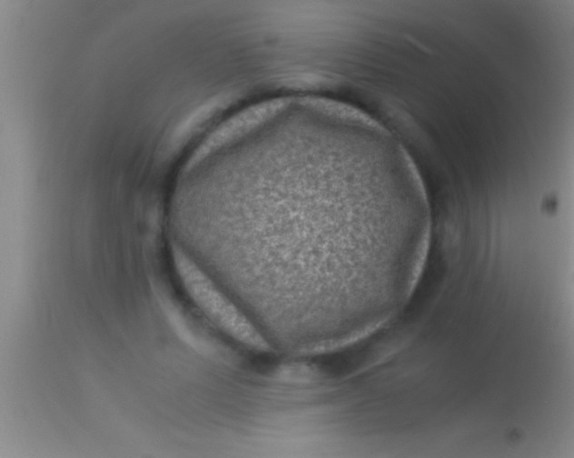 X0000113950591200910161941
