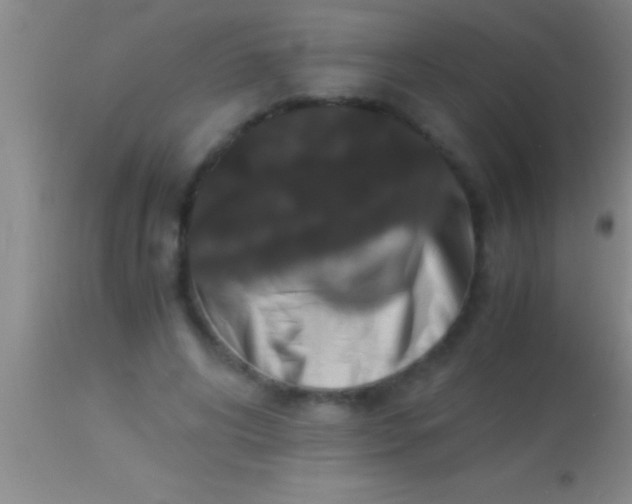 X0000113950592200910161941