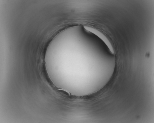 X0000113950593200910161941