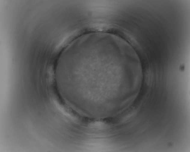 X0000113950594200910161941