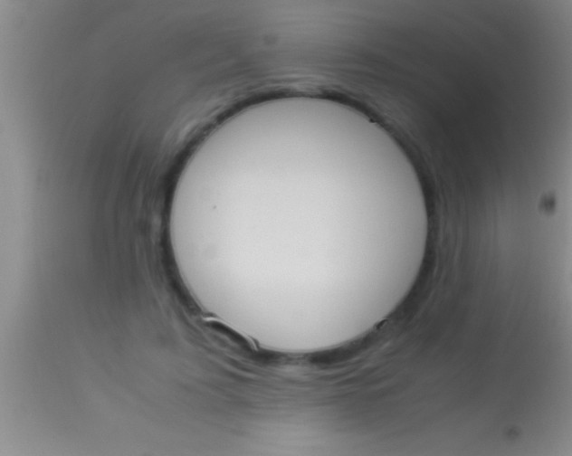 X0000113950595200910161941