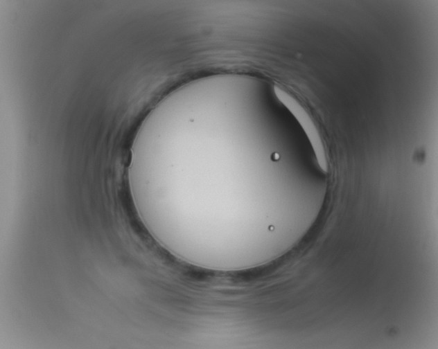 X0000113950597200910161941