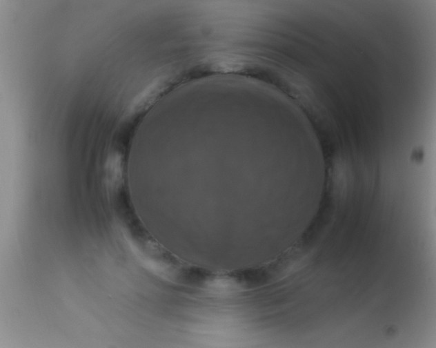 X0000113950598200910161941