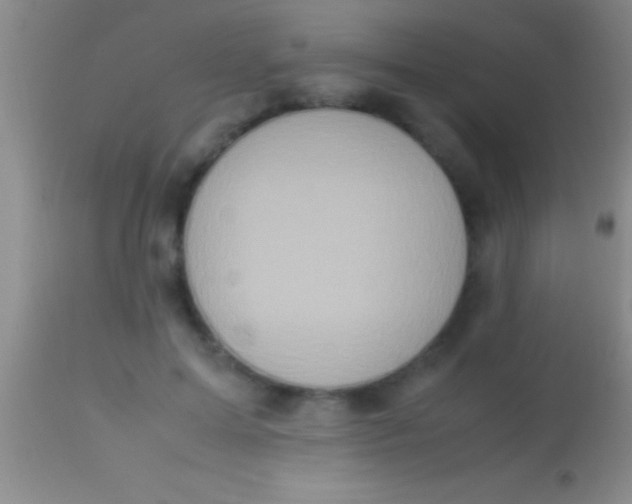 X0000113950599200910161941
