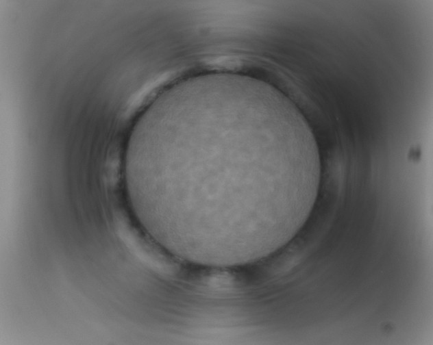 X0000113950600200910161941