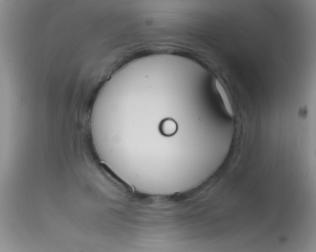 X0000113950601200910161941