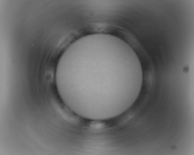 X0000113950602200910161941
