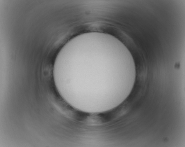 X0000113950603200910161941