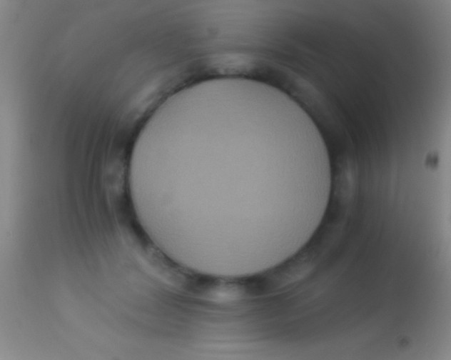 X0000113950604200910161941