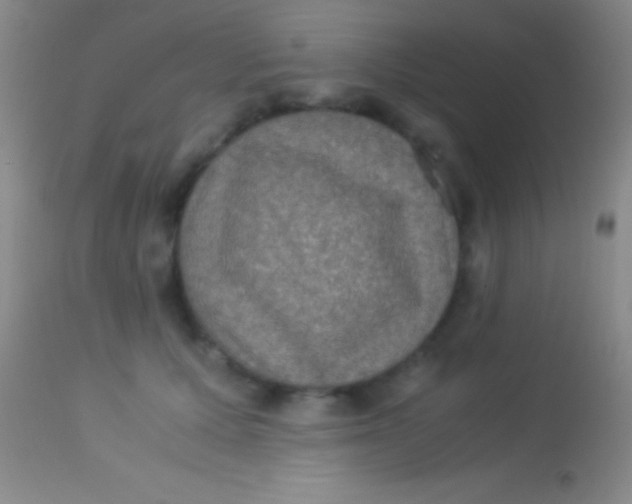 X0000113950607200910161941