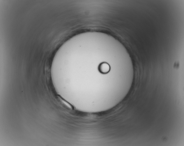 X0000113950609200910161941