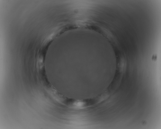 X0000113950610200910161941
