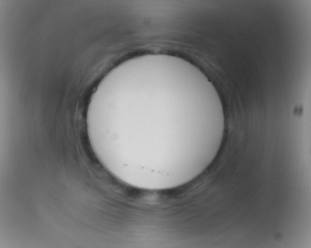 X0000113950611200910161941
