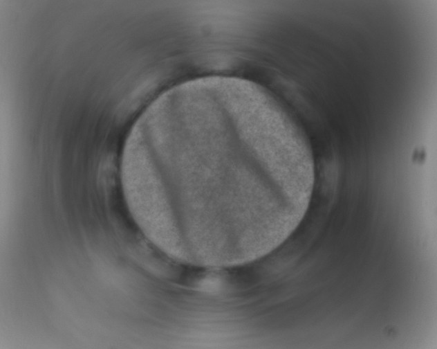 X0000113950612200910161941