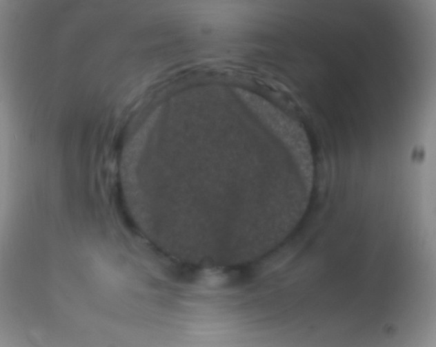 X0000113950613200910161941