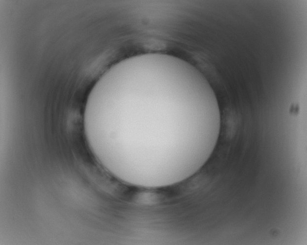 X0000113950614200910161941