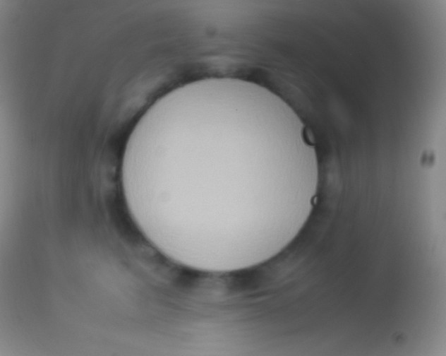X0000113950615200910161941