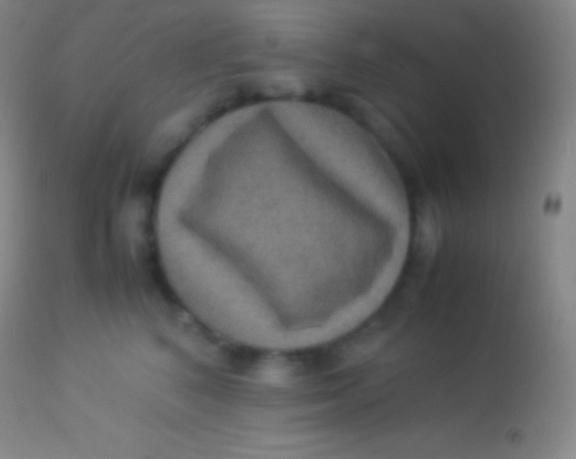 X0000113950616200910161941