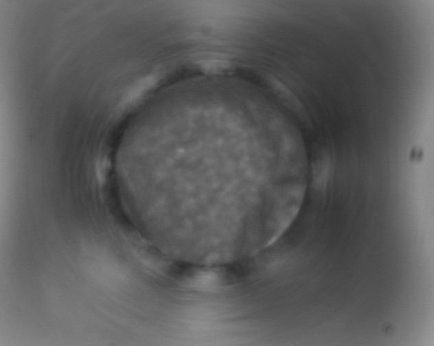 X0000113950618200910161941