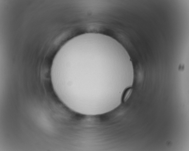 X0000113950619200910161941