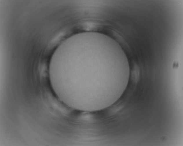X0000113950620200910161941